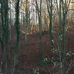 Greenwoods * Valkenburg aan de Geul