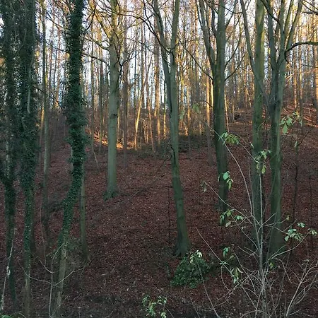 Greenwoods * 팔켄뷔르흐안더횔