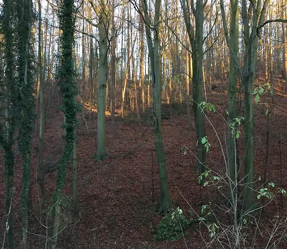 Greenwoods * Валкенбург